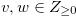 $v,w \in Z_{\ge 0}$