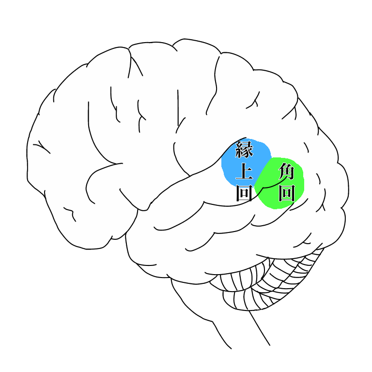 角回と縁上回