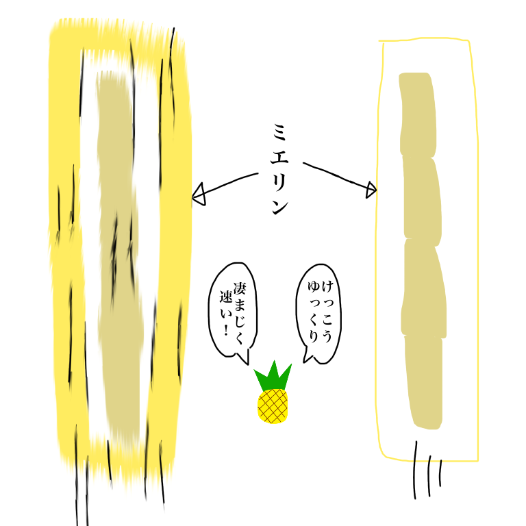 イラストでの解説