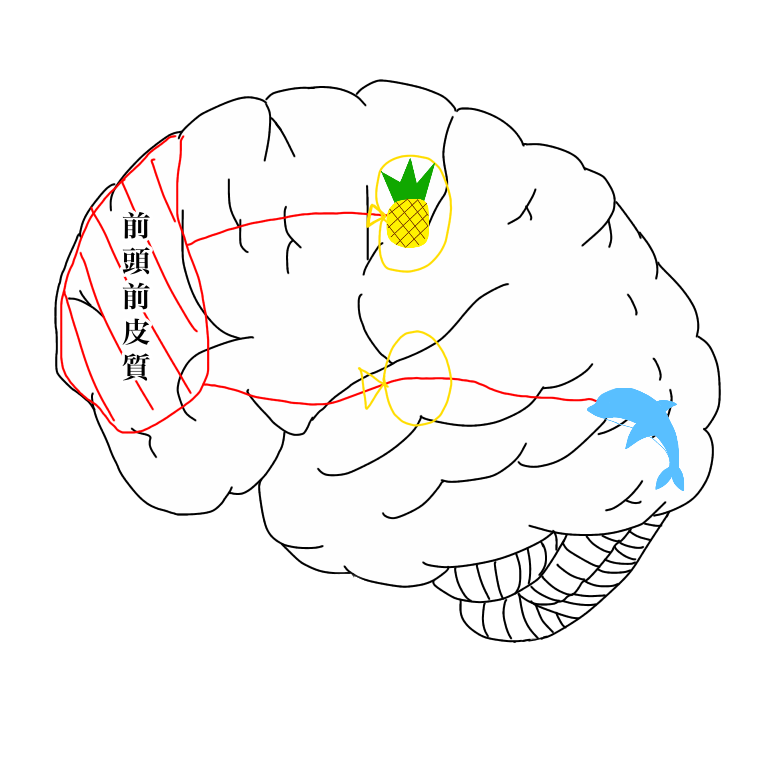 イラストでの解説
