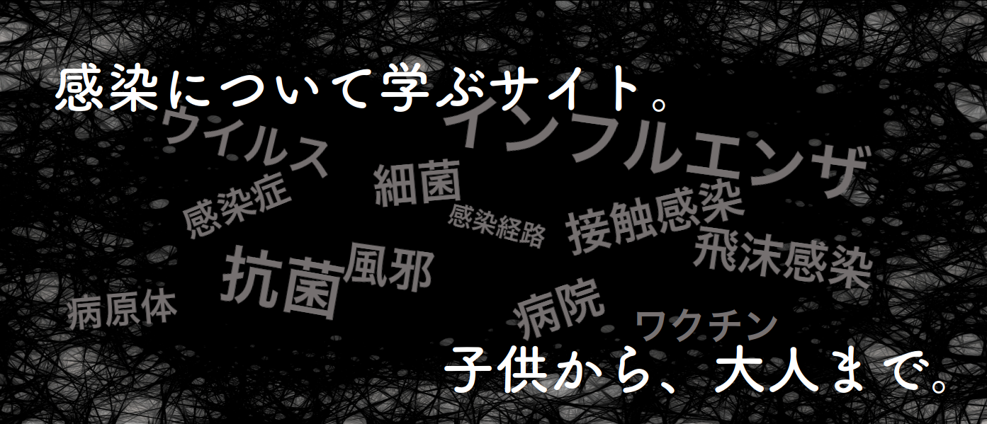 ここにはトップコンテンツが入ります。