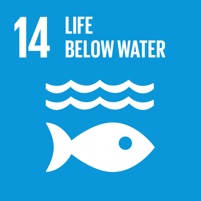 The Sustainable Development Goals