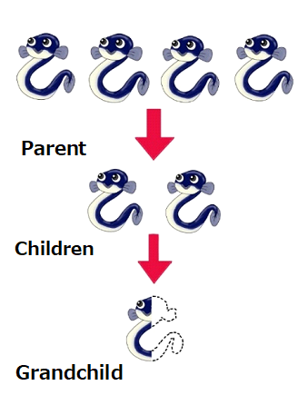 The rate of 3 generations' reduction