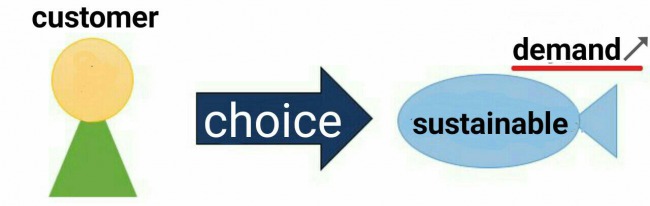 The influence of Consumers'