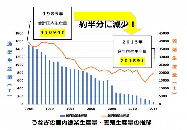うなぎの国内漁業生産量・養殖生産量の推移