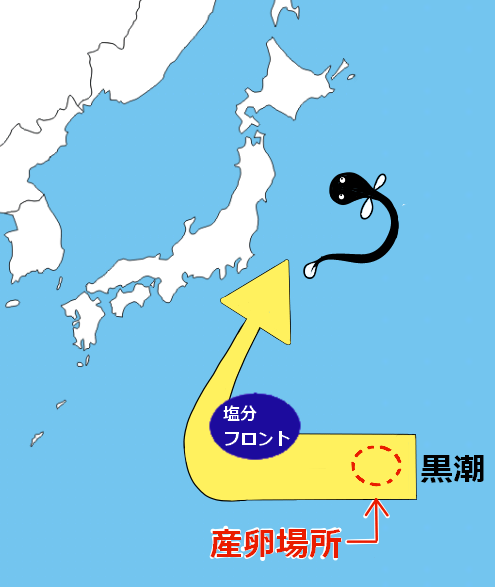 通常