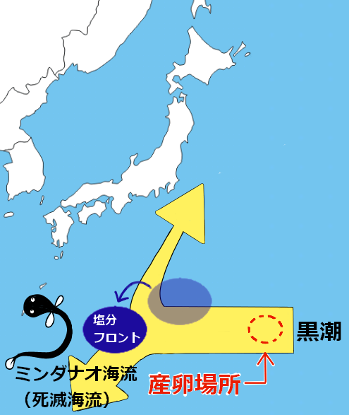 死滅海流