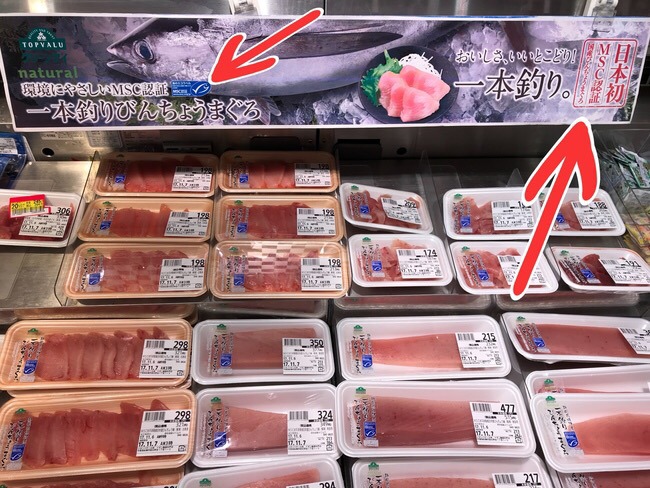 マグロ