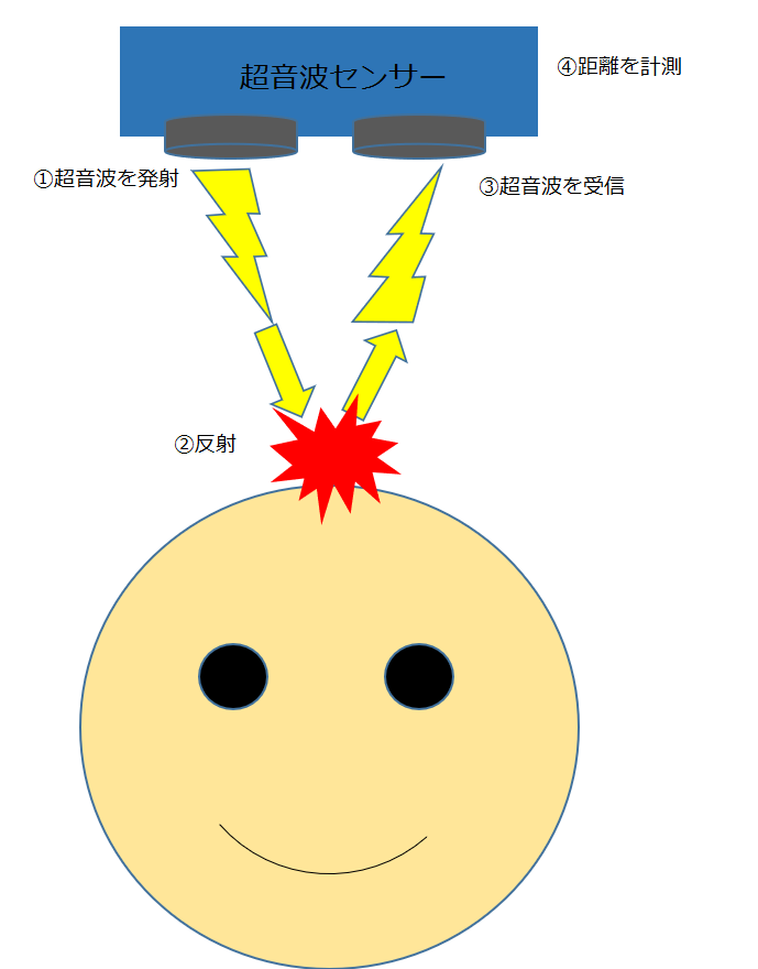 超音波イメージ