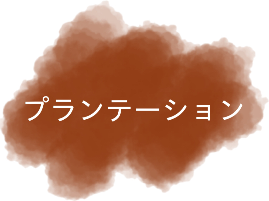 プランテーション