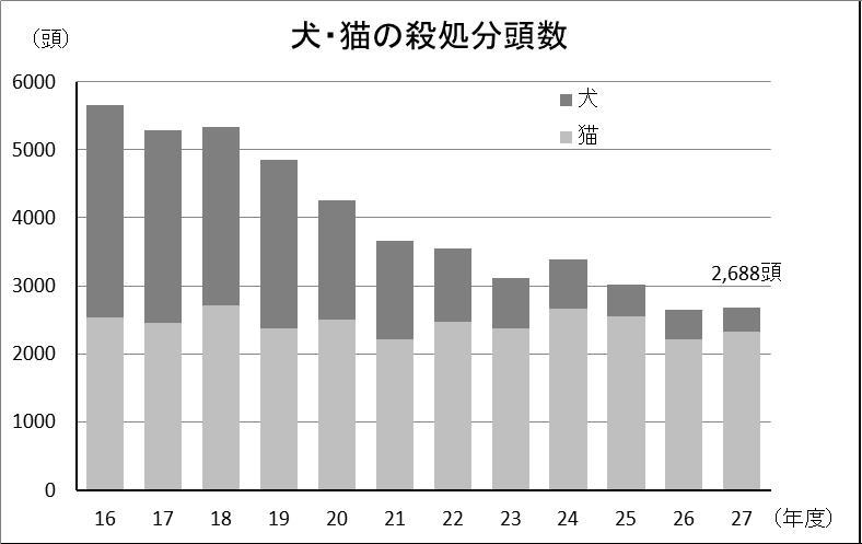 犬の譲渡実績
