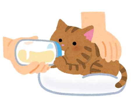 哺乳瓶でミルクを飲む子猫のイラスト（うつ伏せ）