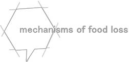mechanisms of food loss