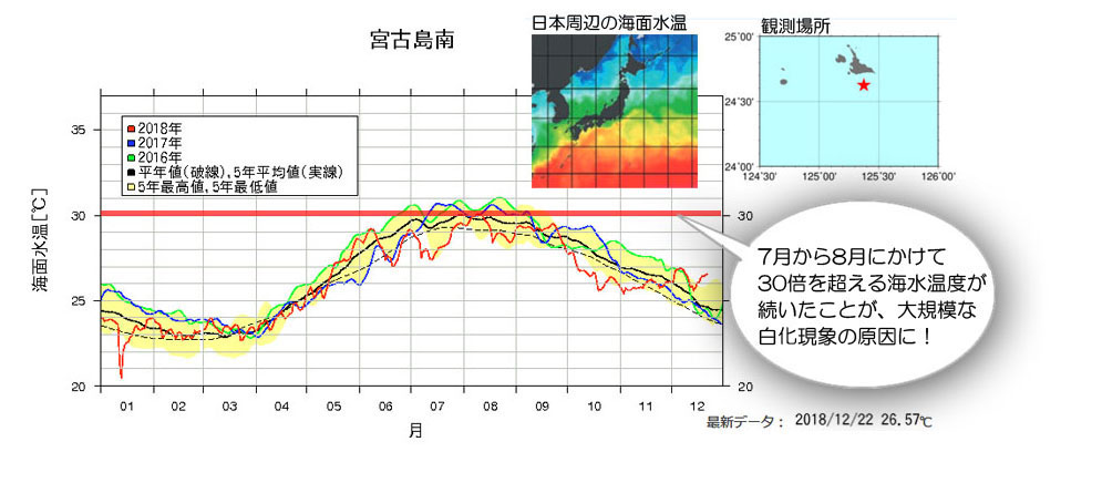 沿岸域の海面水温情報