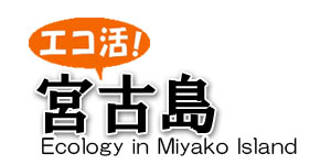 エコかつ宮古島