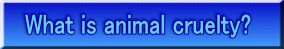 What is animal cruelty?