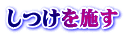 しつけを施す
