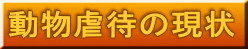 動物虐待の現状 