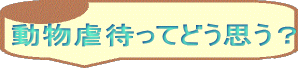 動物虐待ってどう思う？