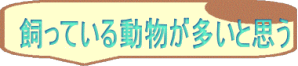 飼っている動物が多いと思う 