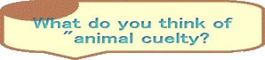 What do you think of  "animal cuelty?