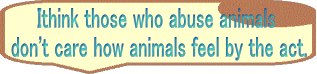 Ithink those who abuse animals  don't care how animals feel by the act.
