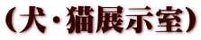 （犬・猫展示室）