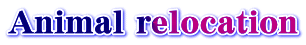 Animal relocation