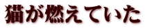 猫が燃えていた