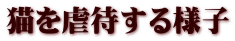 猫を虐待する様子