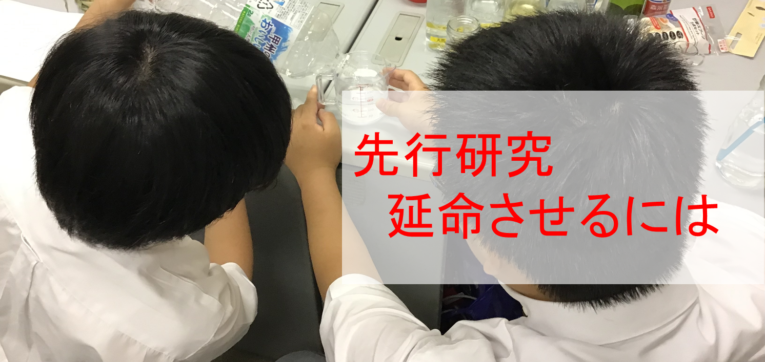 トップ画像