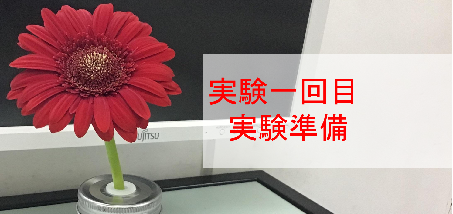 トップ画像