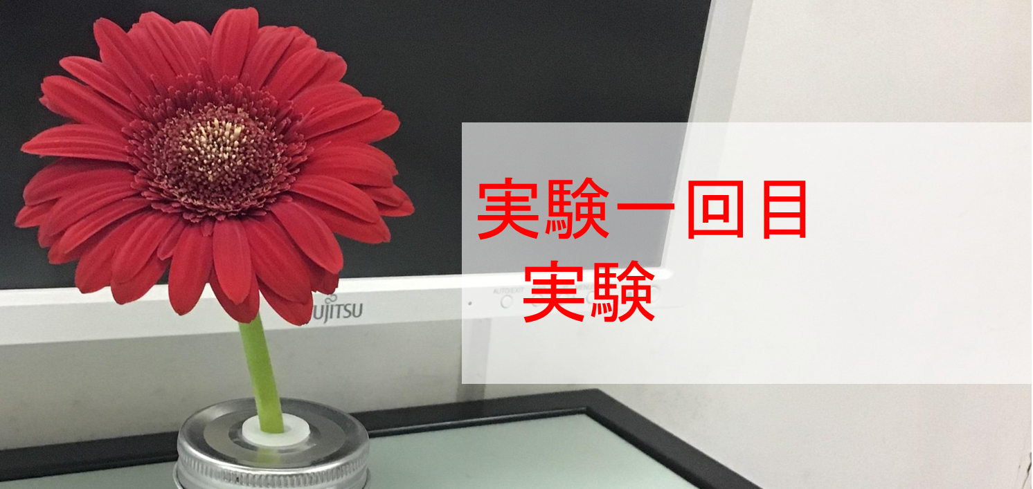 トップ画像