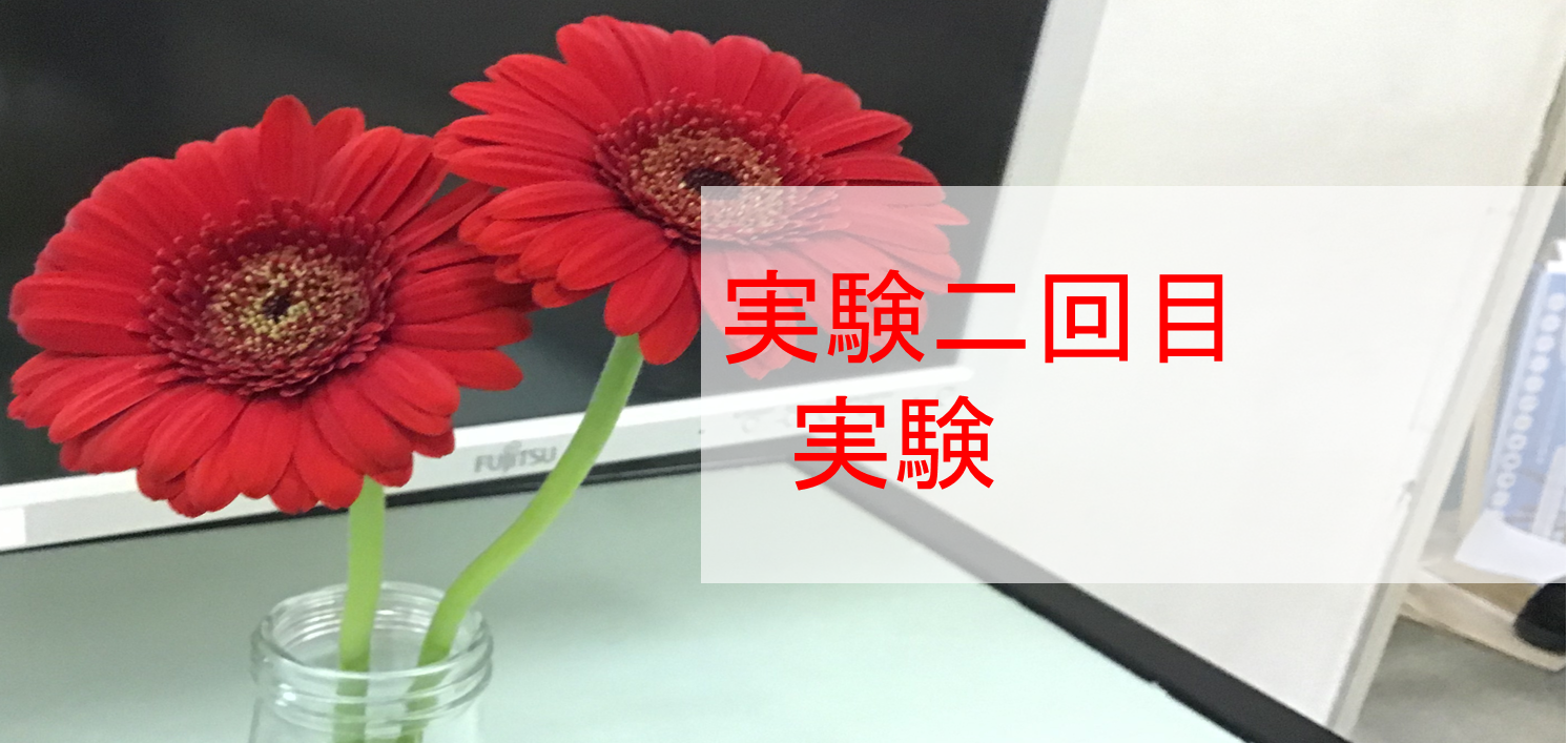 トップ画像