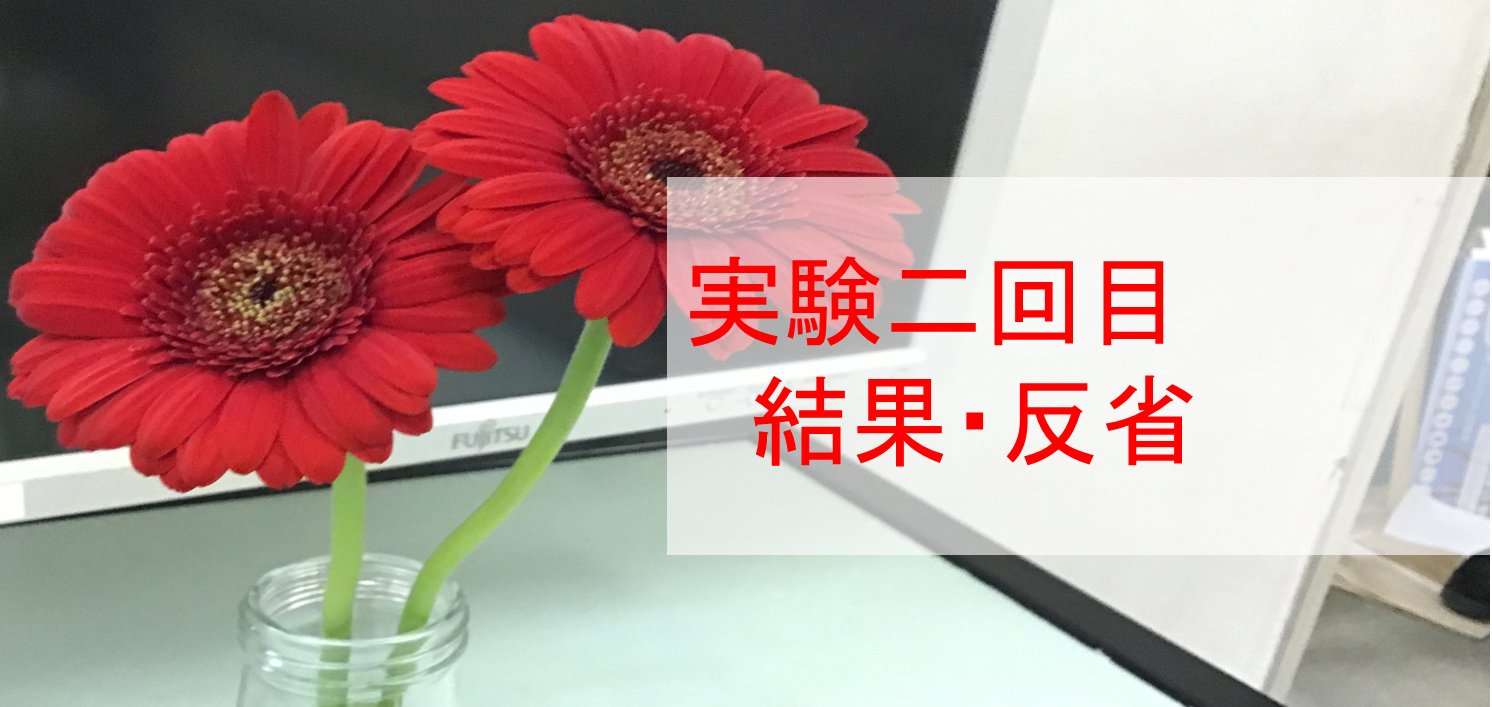 トップ画像