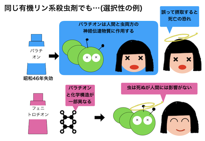 選択性の例