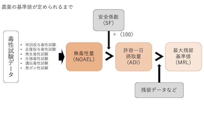 使用量決定の過程