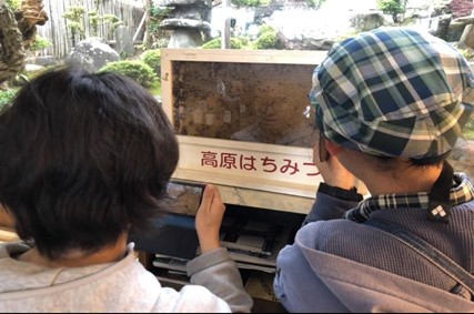 山田養蜂場での様子