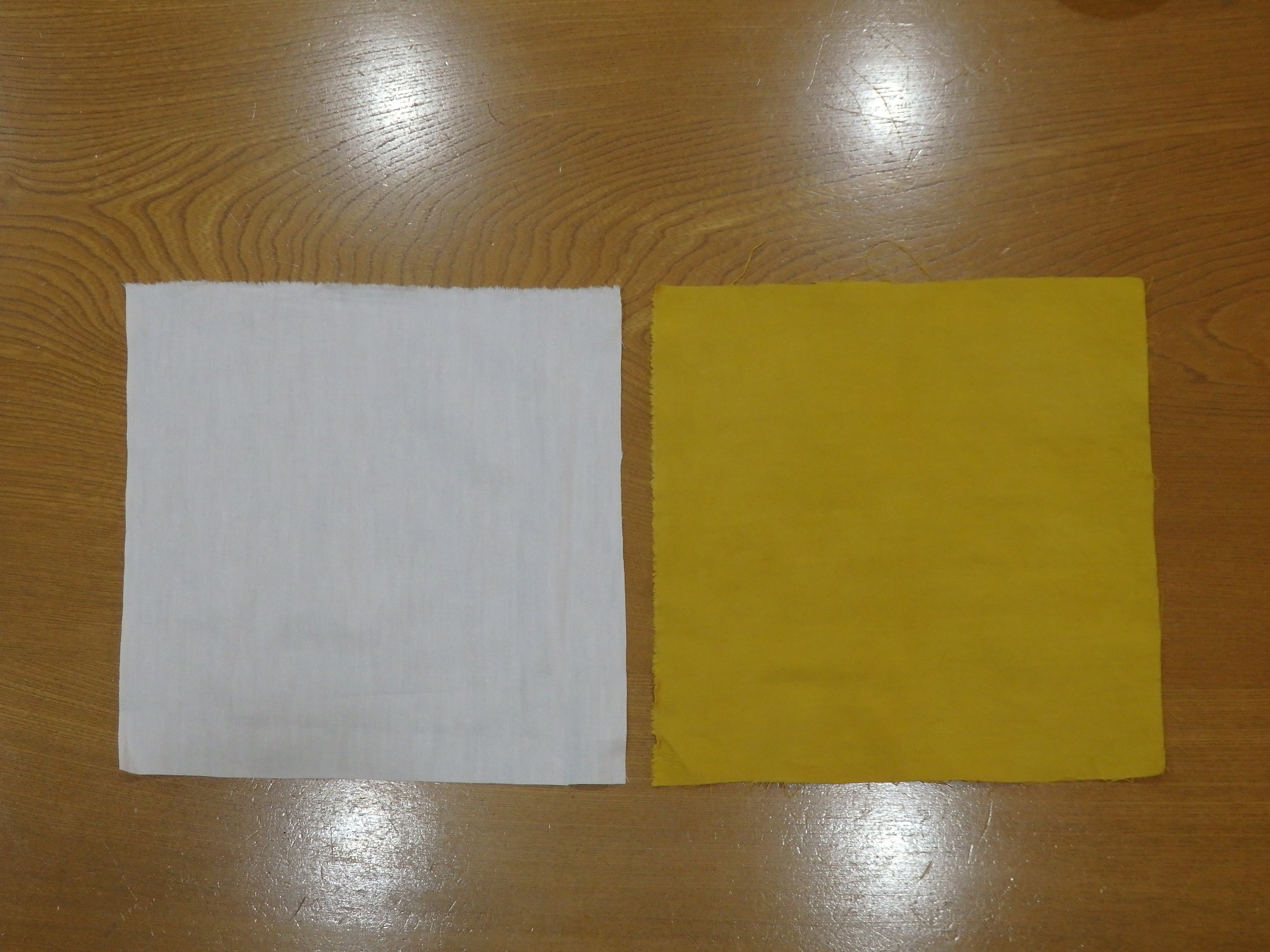 綿の25㎝×25㎝の布を染めたもの