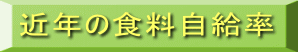 近年の食料自給率 