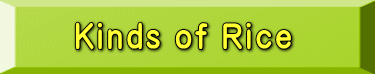 Kinds of Rice 