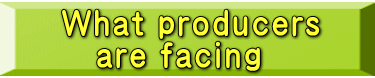 What producers are facing 