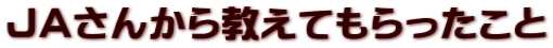 JAさんから教えてもらったこと