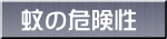 蚊の危険性 