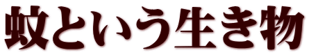 蚊という生き物