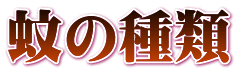 蚊の種類