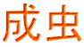 成虫