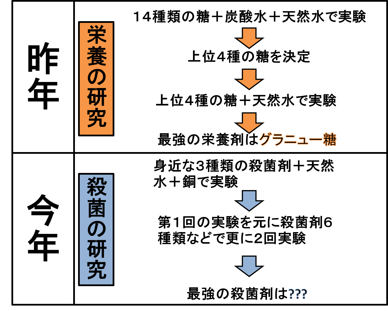歴史