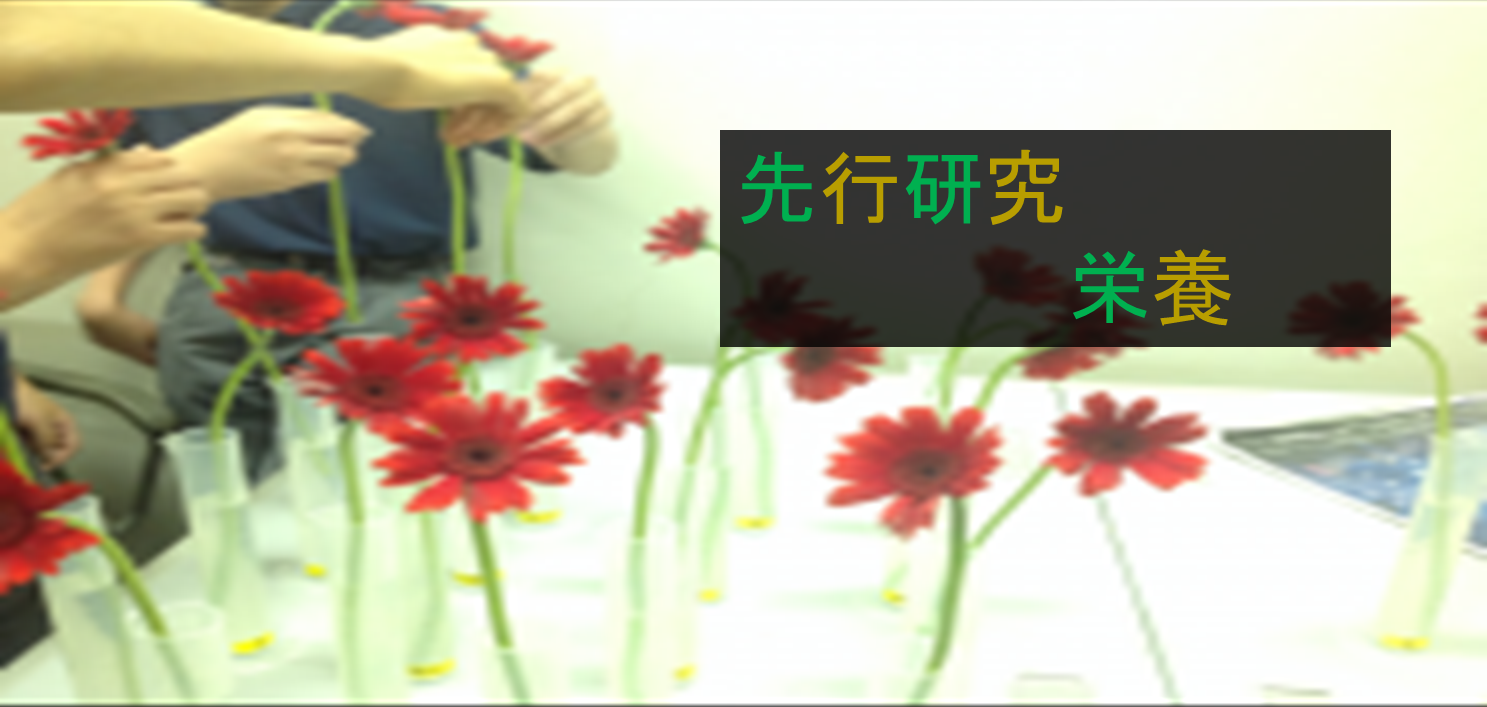 トップ画像