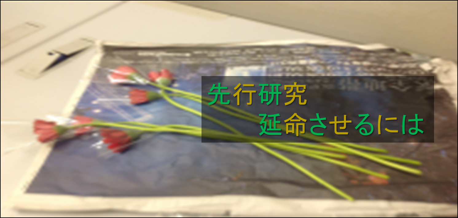 トップ画像